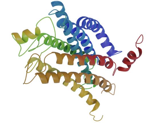 Colorful group of protein ribbons