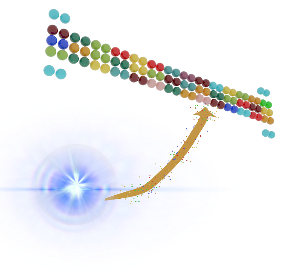 Proteome Profiler antibody arrays