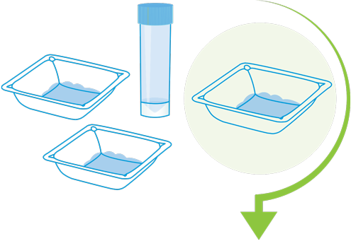 Bioprocessing Formulation