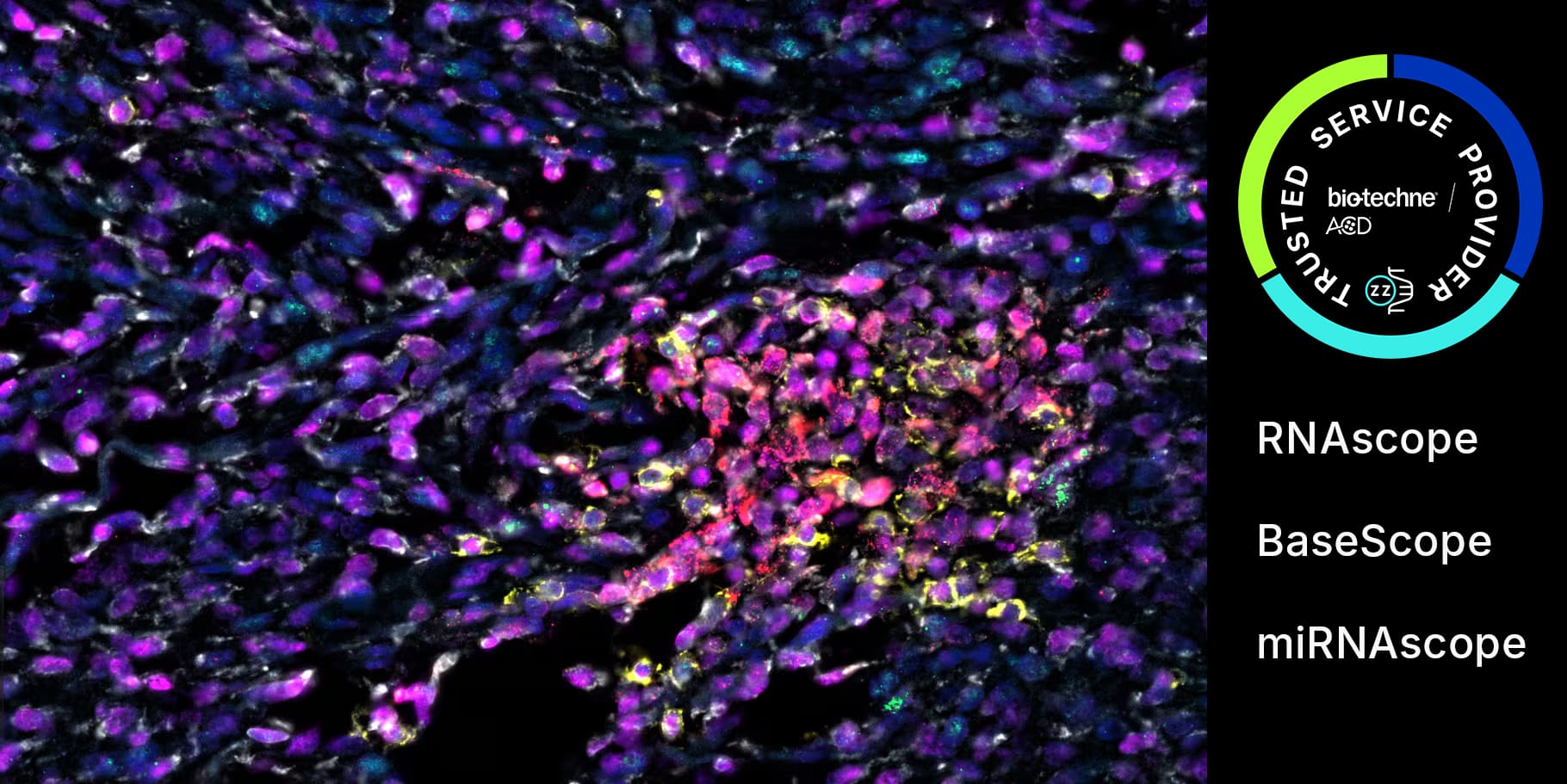 rnascope trusted service provider