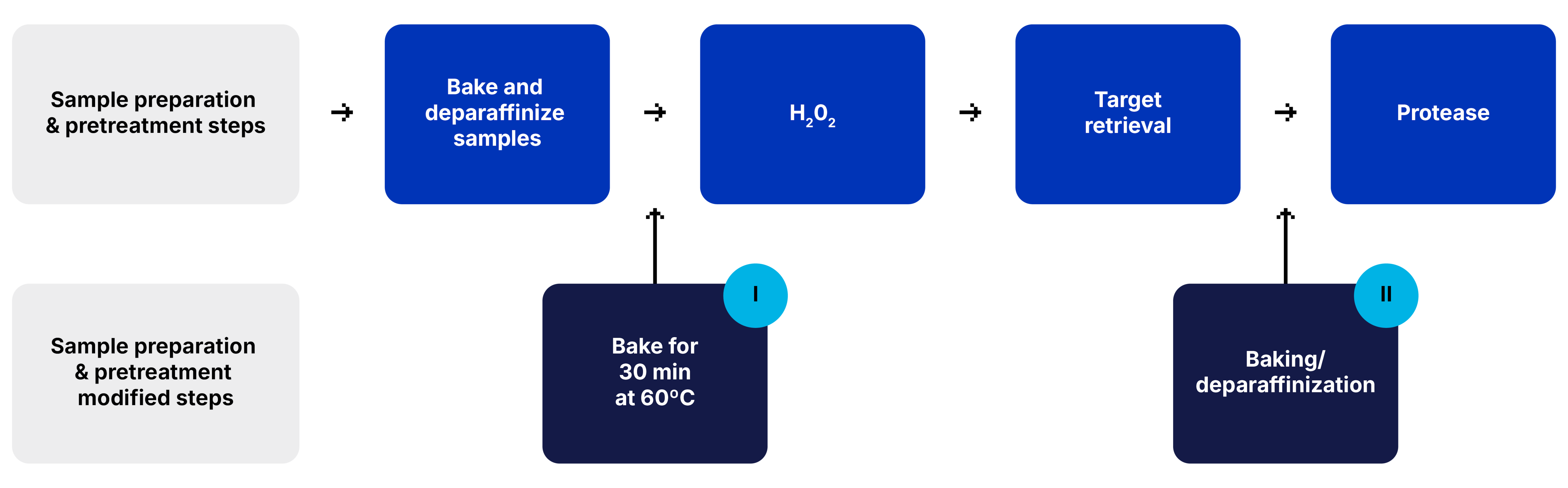 RNAscope Reference Guide Troubleshooting Detachment Workflow