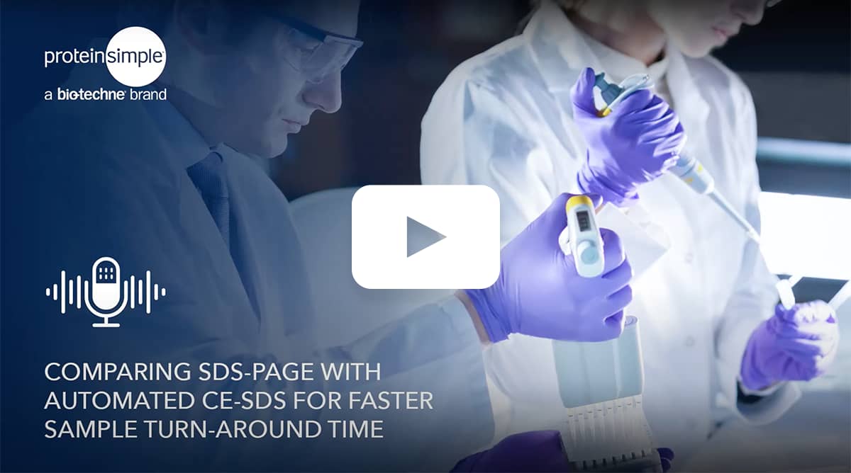 Copmaring SDS-PAGE with Automated CE-SDS video Thumbnail