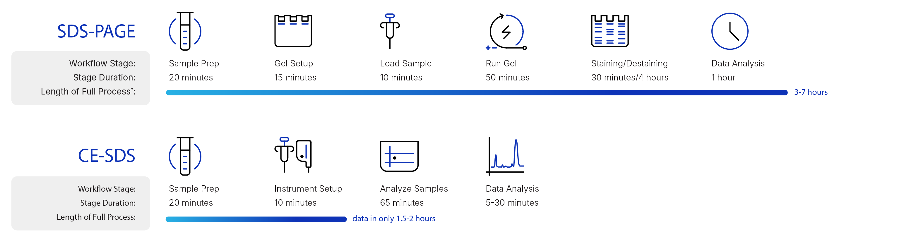 Sodium dodecyl sulfate – polyacrylamide gel electrophoresis (SDS-PAGE) workflow requires more steps when compared to CE-SDS workflow.