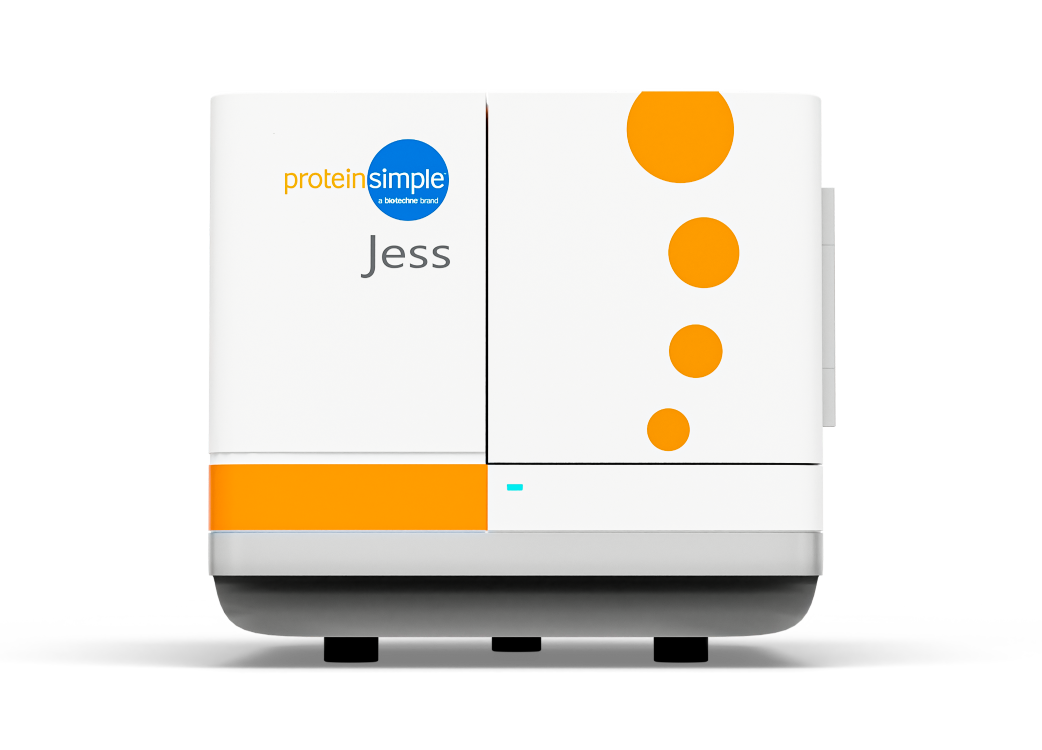 Jess, a Simple Western automated Western blot platform