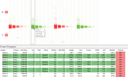 Simple Western Protein Size Assay Protein Quantification