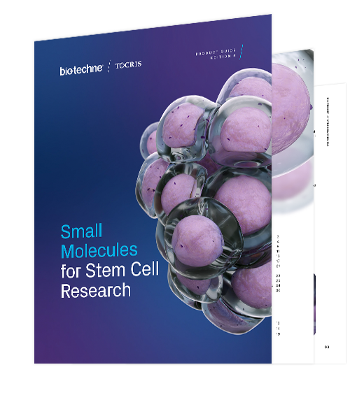 Thumbnail for the Small Molecule for Stem Cell Brochure