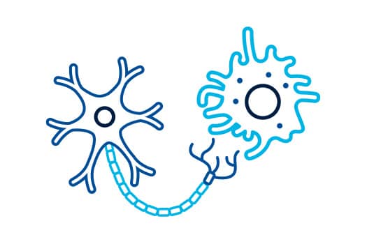 Spatial biology cellular dynamics icons