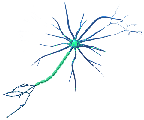 SpearBio LP Neuron Hero
