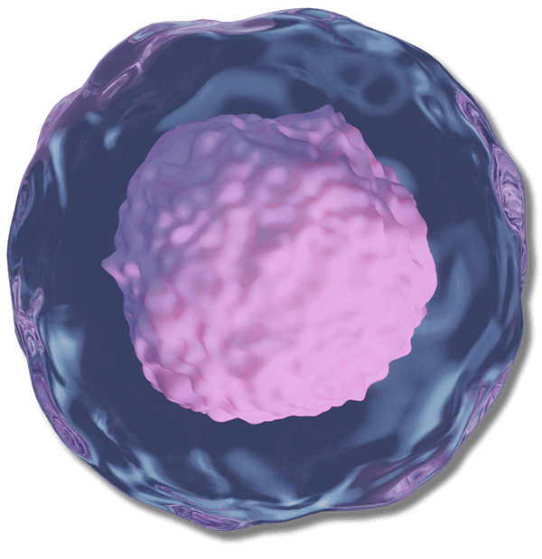 Stem Cells Applications in Regenerative Medicine and Disease Therapeutics