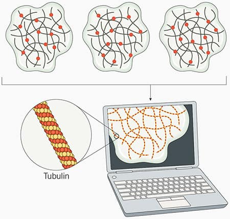 STORM and dSTORM microscopy principles