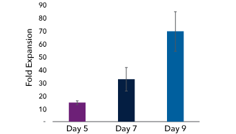 Expansion of Human T Cells using Cloudz™ Human T Cell Activation Kit