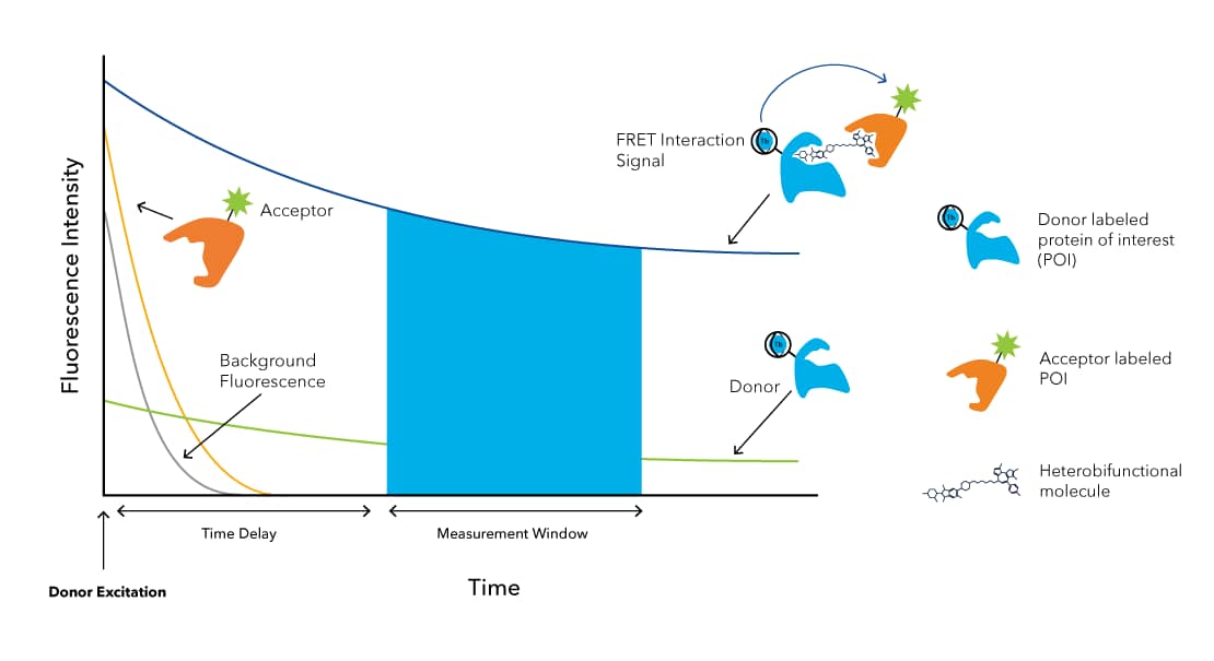 TR-FRET assay principle as applied to induced proximity