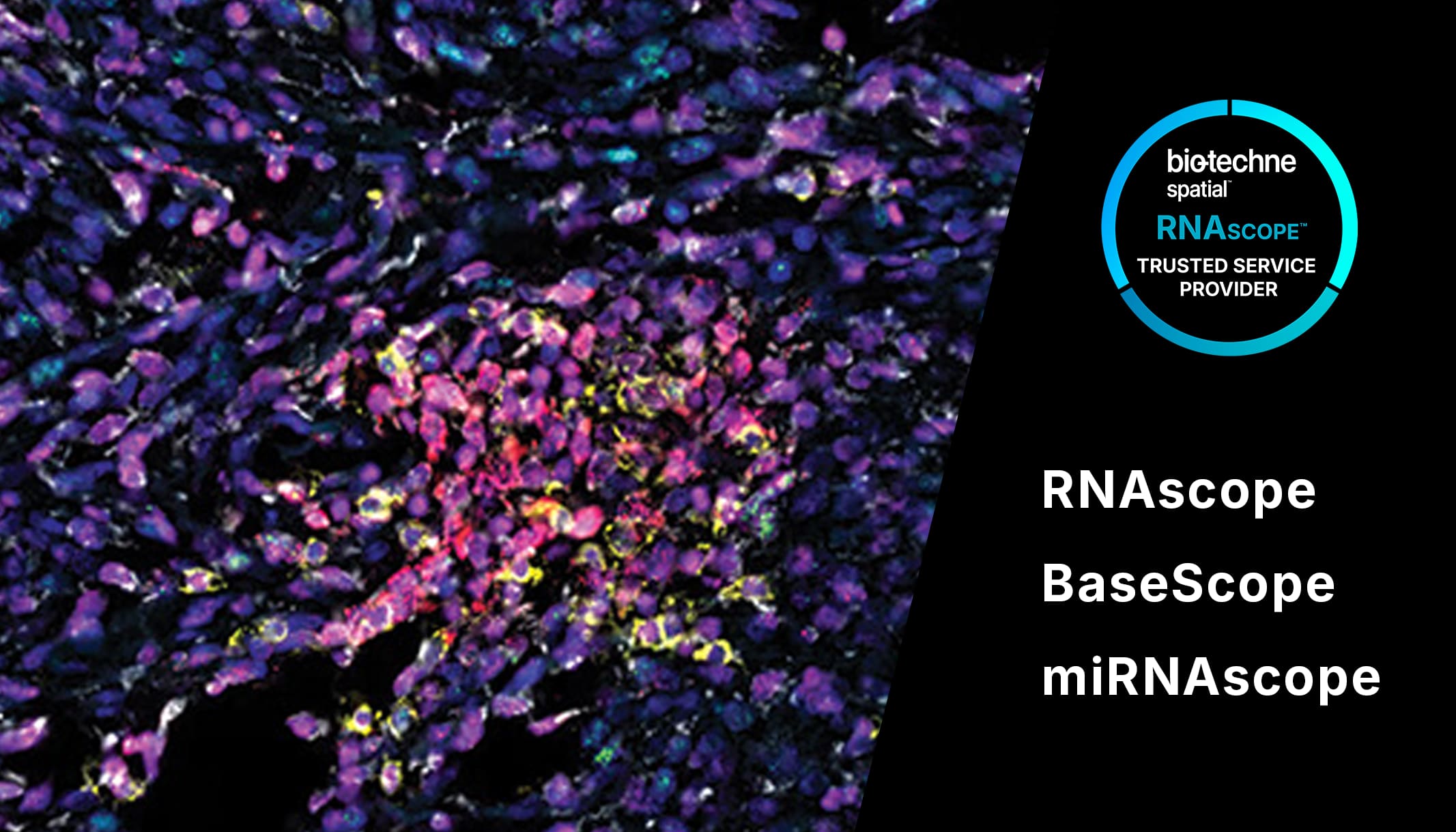 rnascope trusted service provider