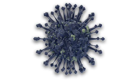 3-D illustration of a virus