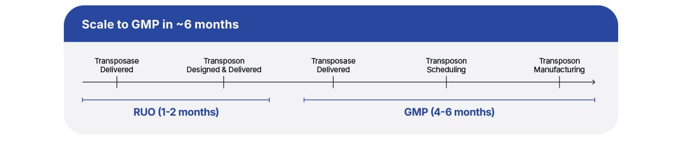 TcBuster scales to GMP in 6 months