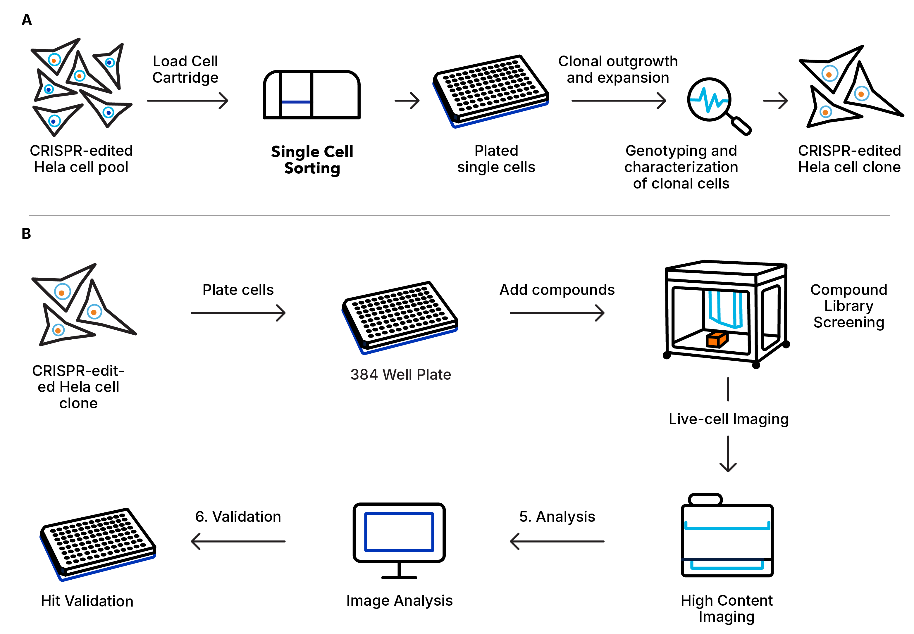 CRISPR workflow schematic