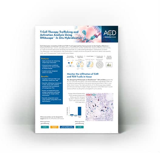 T-Cell Cell Therapy RNAscope Flyer