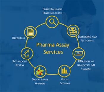 Pharma Assay Services PAS