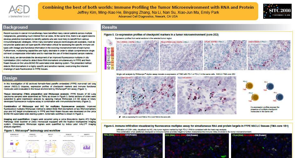 RNAscope Immune Profiling the TME with RNA