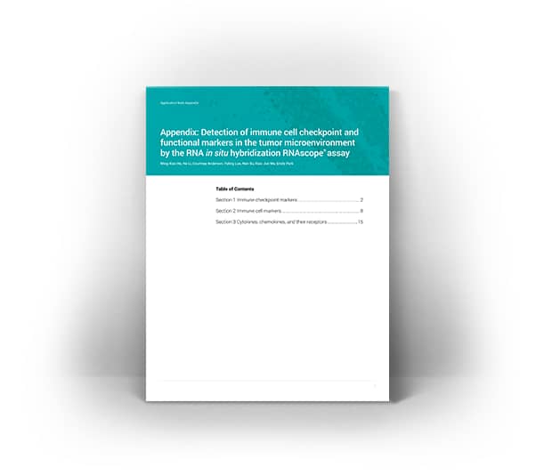 RNAscope Appendix Detection Immune Cell Checkpoint and Functional Markers