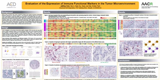 RNAscope AACR Poster Expression of Immune Functional Markers TME