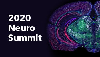 2020 ACD Neuro Summit