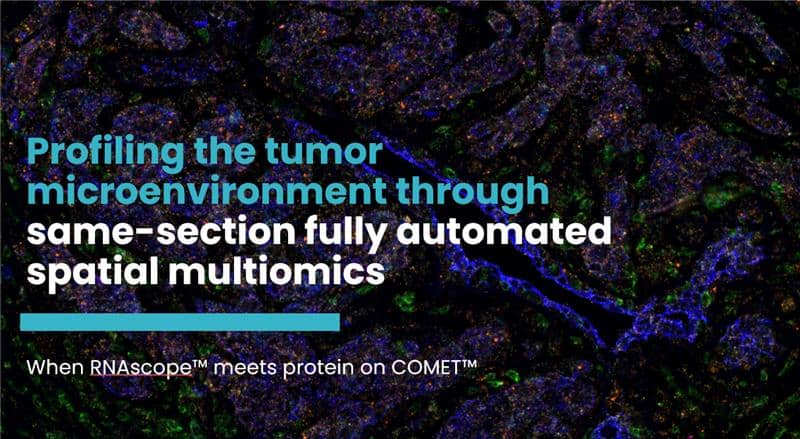 Profiling the tumor microenvironment through same-section fully automated spatial multiomics