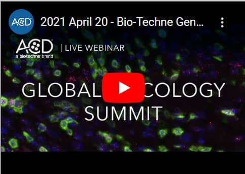 Global Oncology Summit webinar