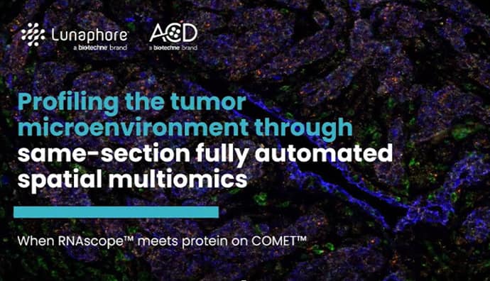 Profiling the tumor microenvironment through same-section fully automated spatial multiomics