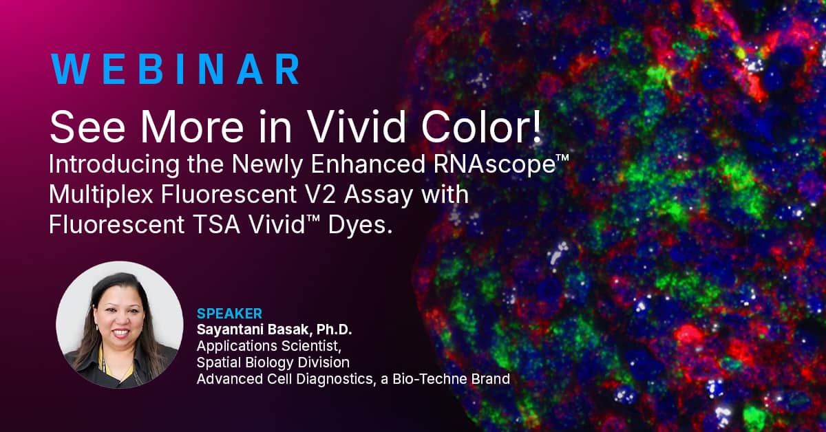 See More in Vivid Color! Introducing the Newly Enhanced RNAscope™  Multiplex Fluorescent V2 Assay with Fluorescent TSA Vivid™ Dyes.