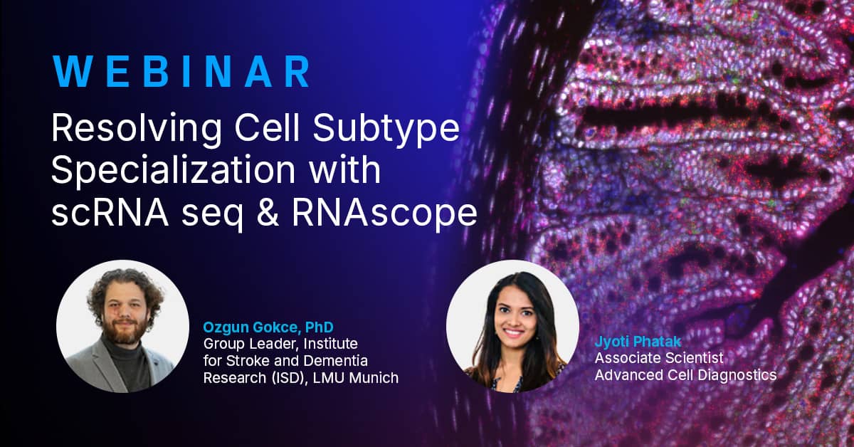 Resolving Cell Subtype Specialization with scRNA seq & RNAscope Webinar