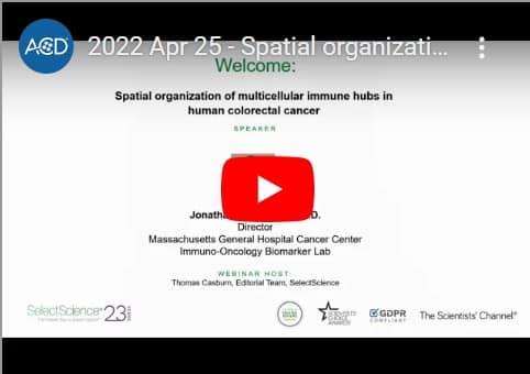 Spatial Organization webinar