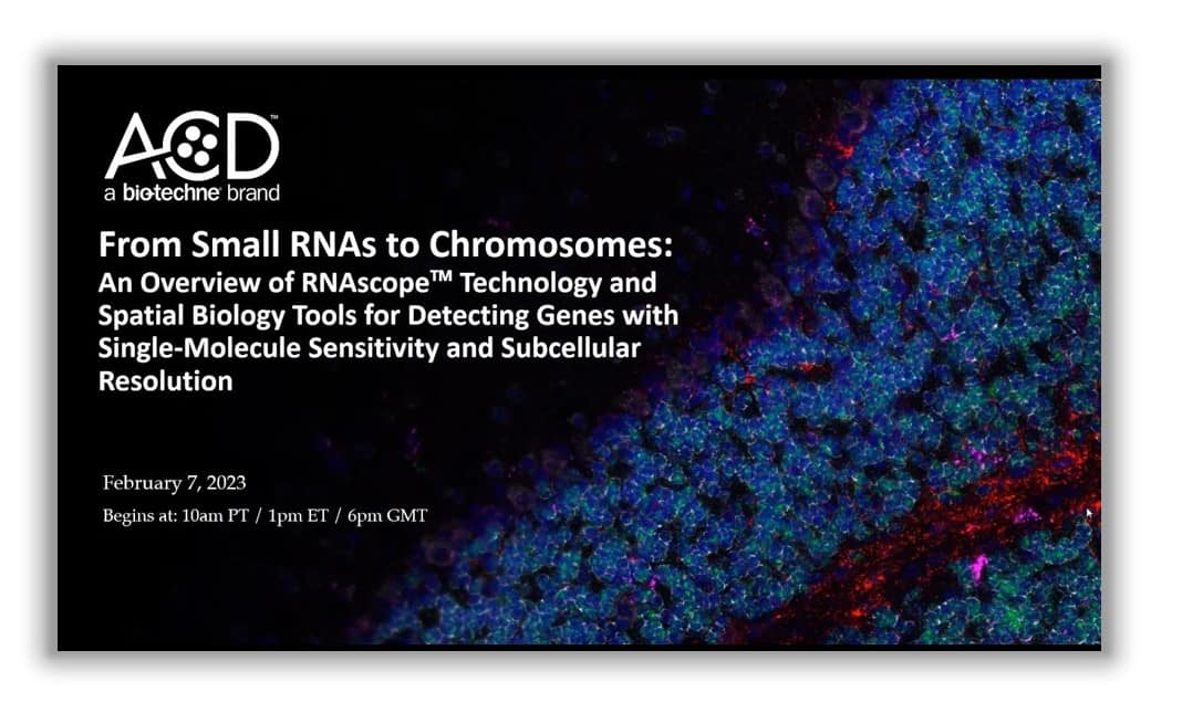 ACD Webinar - RNAscope technology overview - from small RNAs to chromosomes