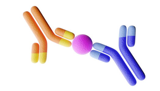 Immunoassays