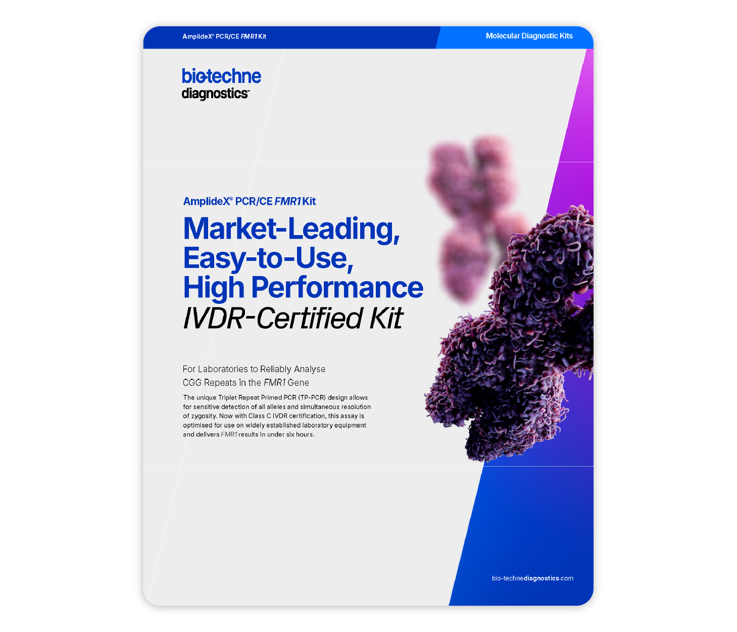 AmplideX® PCR/CE FMR1 Kit (IVDR) brochure