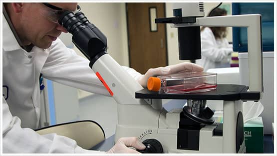 Bio-Techne Scientists