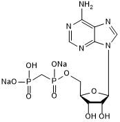 Ecto-5'-nucleotidase (CD73) inhibitor