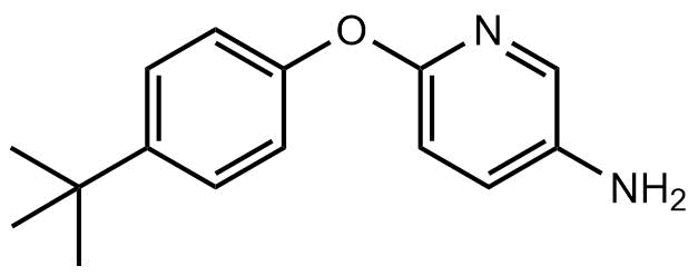 pan-Notch inhibitor; also inhibits differentiation of mural cells by downregulating Notch pathway.