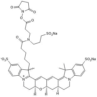 Restricted conformation cyanine dye