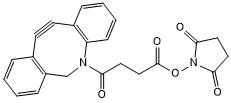 Amine reactive and azide reactive building block