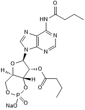 Dibutyryl-cAMP, sodium salt synthesized to Ancillary Material Grade