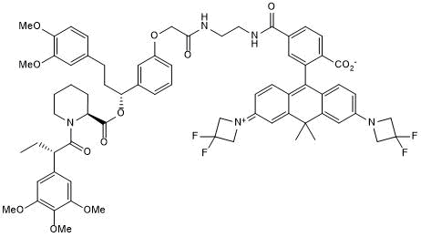 Fluorogenic srTAG probe for live cell imaging of FBKP12 (F36V/L) labelled proteins