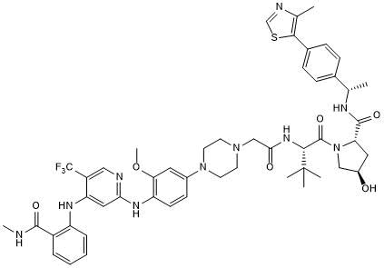 Potent and selective focal adhesion kinase (FAK) degrader
