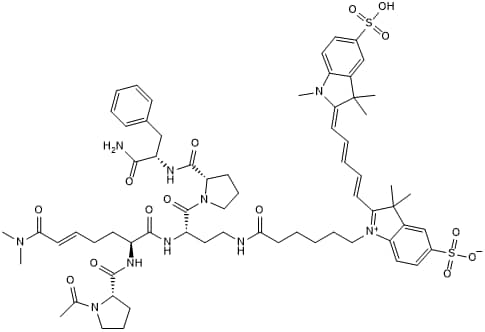 Fluorescent TG2/LRP1 substrate for imaging endocytosis