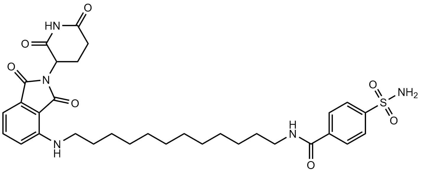 Potent human carbonic anhydrase II degrader