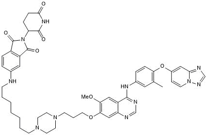Potent and selective HER2 targeting PROTAC®