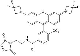 Yellow dye (Reactive group: maleimide). Application: flow cytometry, confocal microscopy, super resolution microscopy including dSTORM & STED. Suitable for live cell imaging