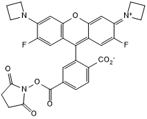 Cell-permeable fluorogenic dye supplier with NHS ester for amine conjugation. Application: live-cell imaging. Also chemigenetic Ca2+ indicator