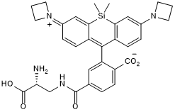 Red Janelia Fluor&reg; fluorescent dye for live gram positive and negative bacteria imaging