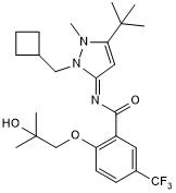 Highly potent and selective CB2R agonist